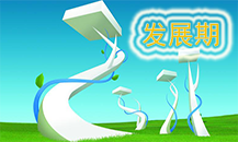 发展期课程